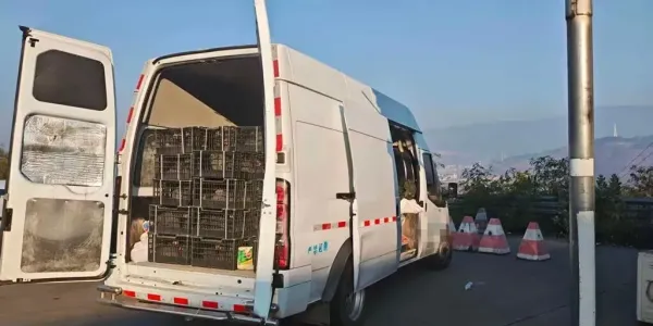 警惕“来路不明”的食材！华坪警方连查两起违法运输