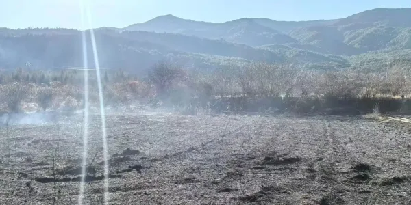 白沙镇通报三起违规野外用火案 三人各被罚300元