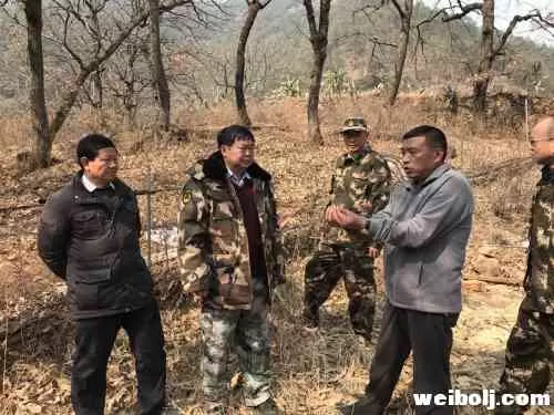 玉龙森林火灾致房屋烧毁 1700人扑火任在进行