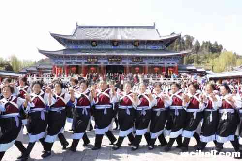 从新城到古城再到雪山“三多节”让丽江乐翻天