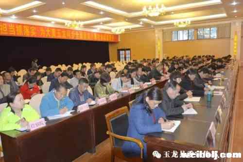 玉龙县召开党的建设暨组织工作会议.webp (1).jpg