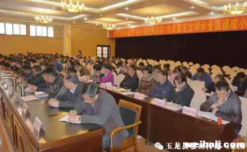 玉龙县召开党的建设暨组织工作会议.webp (2).jpg
