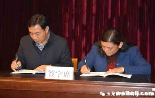 玉龙县召开党的建设暨组织工作会议.webp (3).jpg