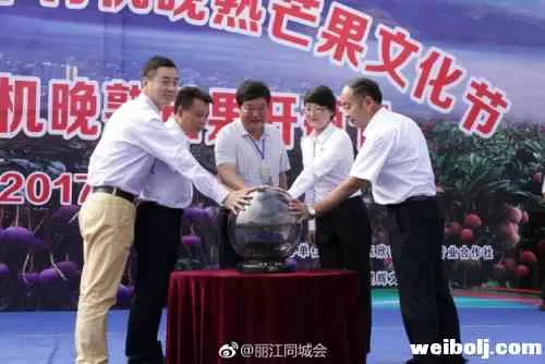 华坪芒果节爆料很多 其中这个是吃货们最想的福音