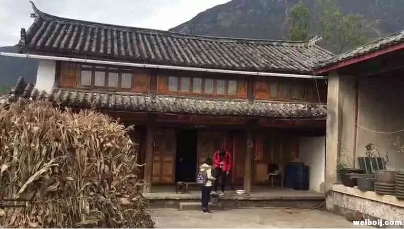 湖南卫视《野生厨房》丽江取景  汪涵陈乔恩等明星现身雪山脚下