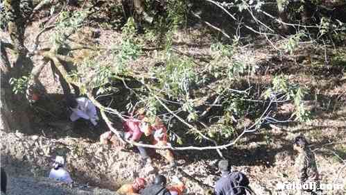 丽宁公路沙力隧道附近面包车侧翻 5人被困致1人死亡1.jpg