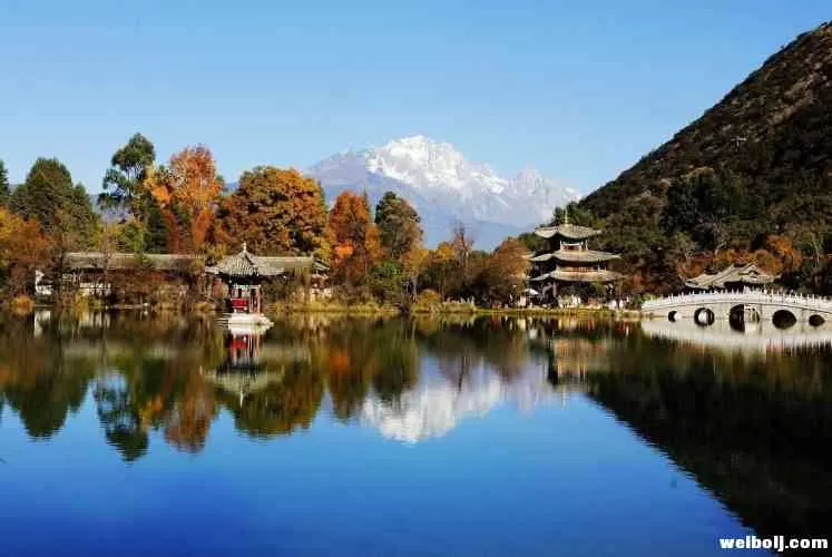 检举旅游局长有功 丽江一公司女老总获轻判