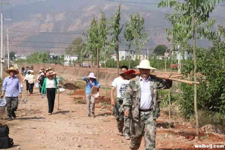 三川镇开展植树活动，向五一劳动节献礼