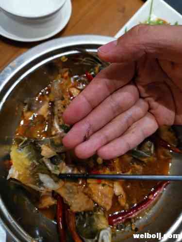 游客餐厅吃鱼被卡 发博喊话网友 转发送红包！