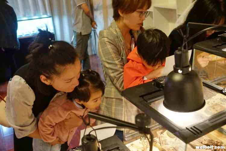 丽江这场星际之旅公开课，带你探索宇宙奥秘！