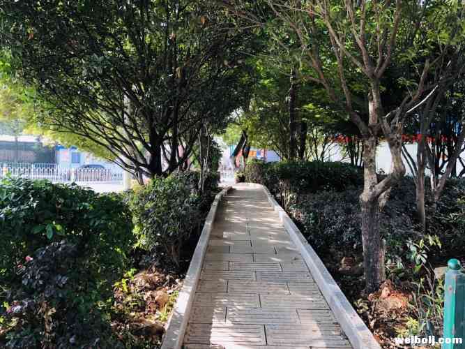 马路栏杆太高翻不过去？别翻了！这里增设了条斑马线！