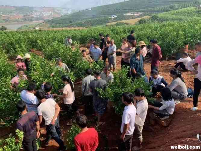 人社部门重培训推产业