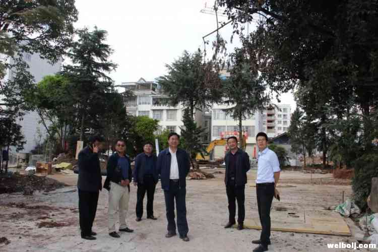 冯忠调研“美丽县城”建设时要求：加快推进项目建设，让“美景”早日惠民