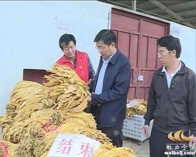 杨承新到西布河乡战河镇调研脱贫攻坚 提升人居环境和集镇建设等工作