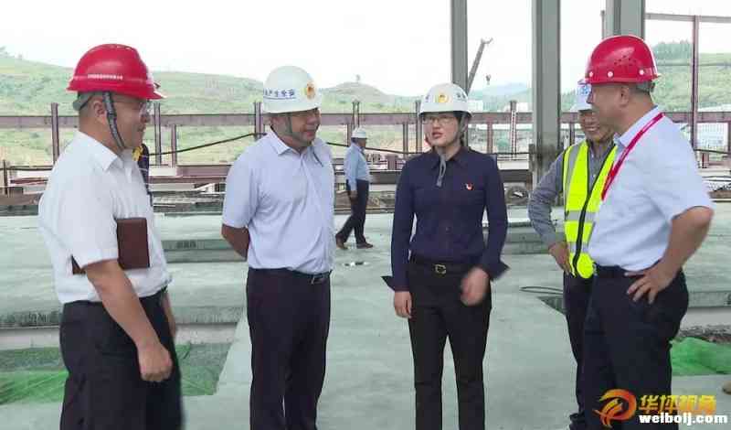 庞新秀到石龙坝清洁载能产业示范园区调研时强调：要践行初心使命 打好“绿色能源牌”
