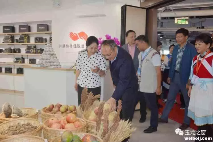 惊艳上海滩！沪滇两地主要领导为丽江特产打call