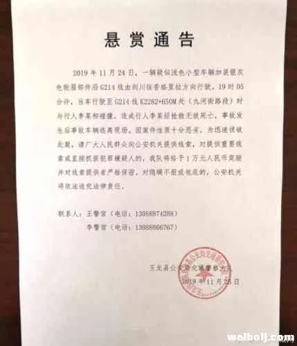 老人被撞身亡司机肇事逃逸, 丽江警方17小时内破案！