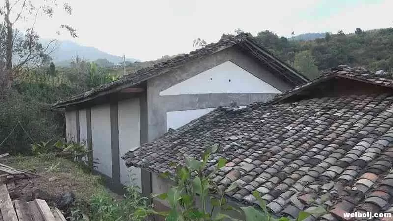 华坪这个村旧貌换新颜