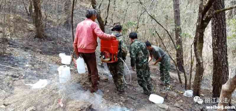 丽江一男子冲动放火烧山，被判九年有期徒刑