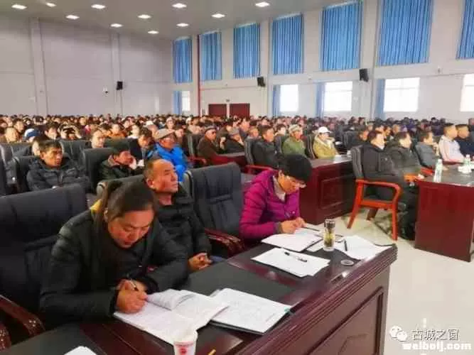 上周末，束河街道党员忙“充电”！