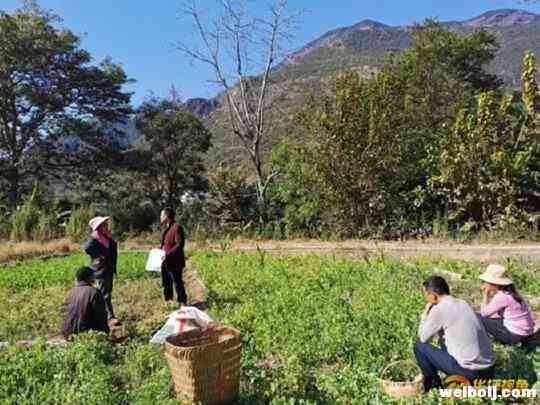 船房全乡齐发力殡葬改革树新风