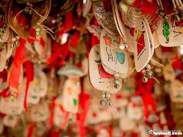 相聚鲁纳古 欢度纳西年4.jpg