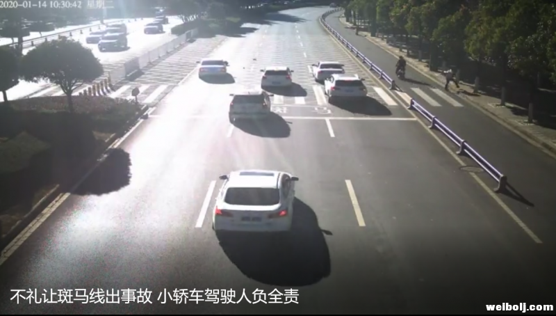 不礼让斑马线出事故 小轿车驾驶人负全责