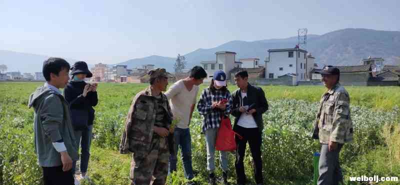 三川镇举行海升集团5000亩软籽石榴现代产业园开工仪式