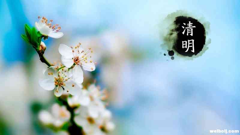 疫情当前 今年清明祭扫要注意哪些问题？1.jpg