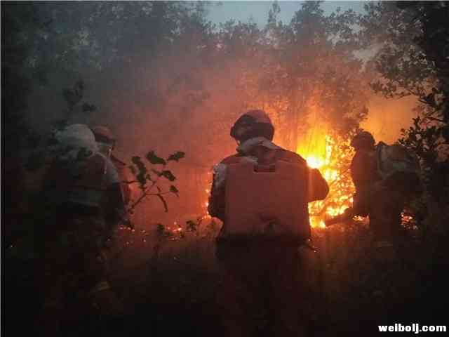 丽江：上坟引发山火近千人通宵奋战 75岁老人都去灭火了 (4).jpg
