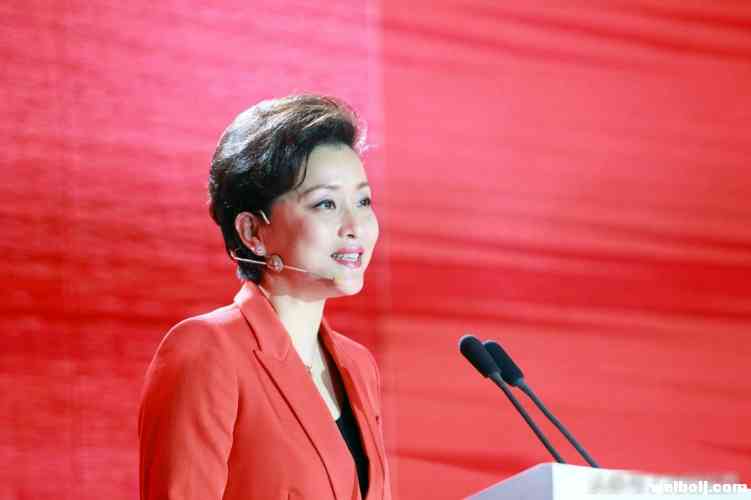 联想集团任命杨澜为公司独立非执行董事 年薪234万.jpg