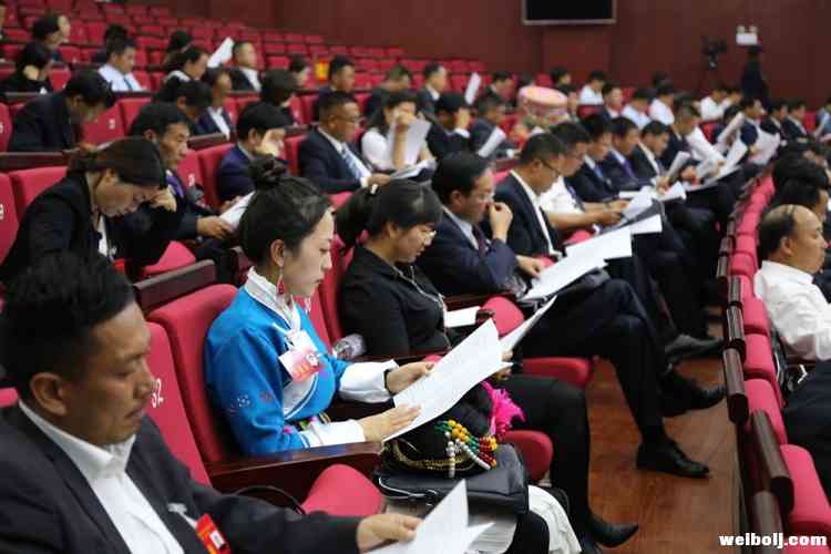 四届人大三次会议 看人大和两院工作报告 (2).jpg