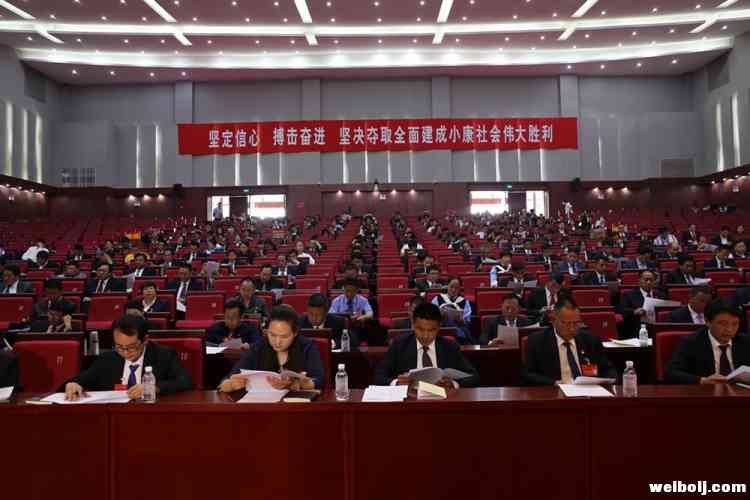 四届人大三次会议 看人大和两院工作报告 (5).jpg