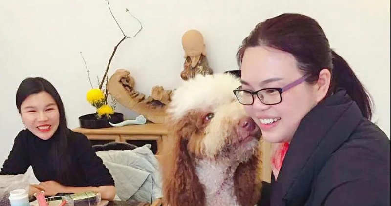 神奇！丽江这只狗狗居然是医生 (4).jpg