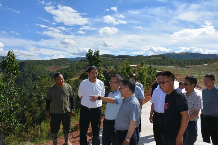 崔茂虎到宁蒗县调研时强调：深入践行新发展理念  做好文旅农旅融合文章 (2).jpg