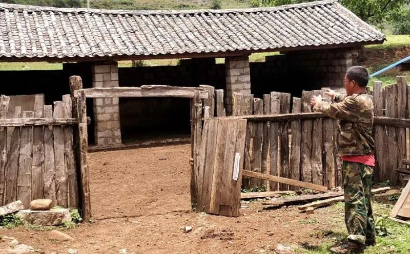 买牛归途被强行街亭 卖牛人竟然是偷牛贼 (2).jpg