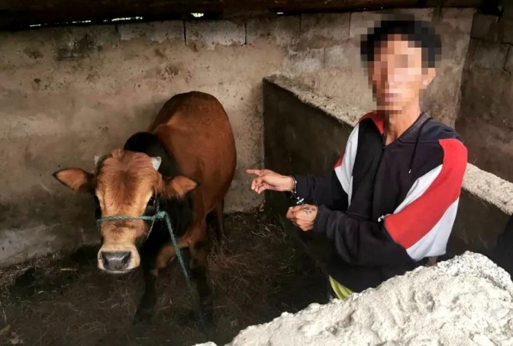 买牛归途被强行街亭 卖牛人竟然是偷牛贼 (1).jpg