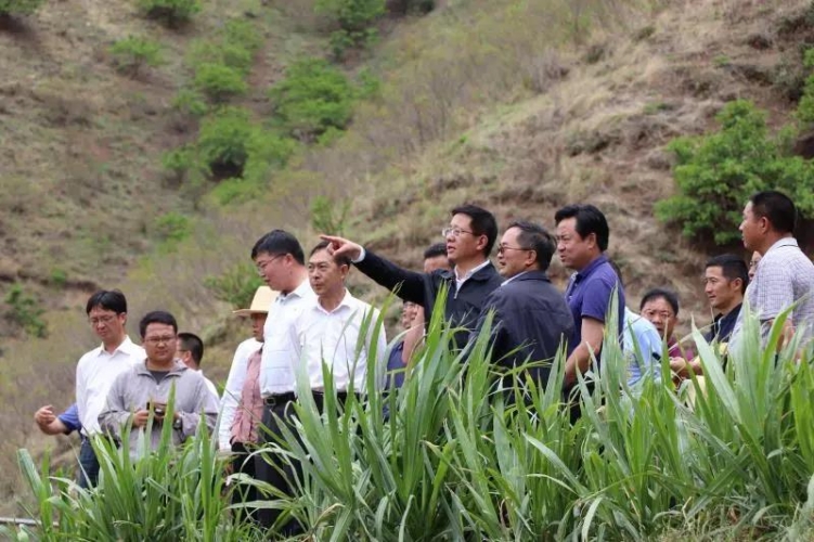 省委副书记王予波在丽江调研时强调：把精准的工作要求落实到底 (2).jpg