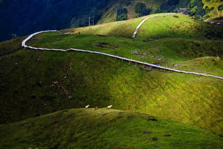 7月22日起，云南恢复跨省团队旅游啦！ (3).jpg