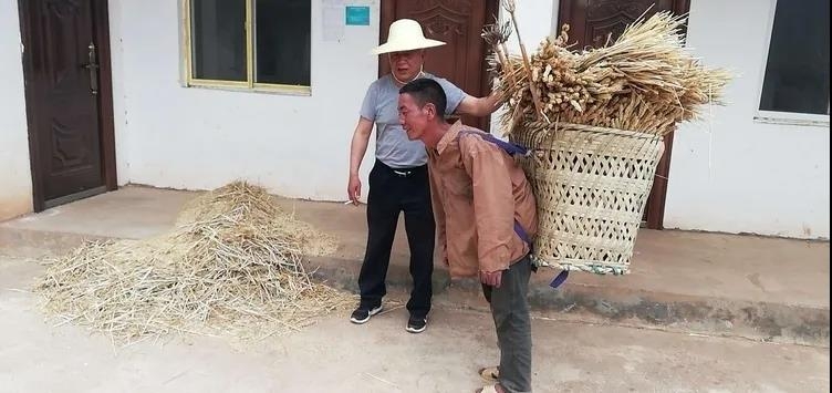 大山深处的“白发老陈” (4).jpg