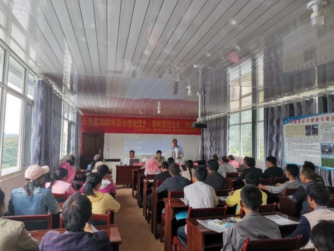 脱贫攻坚这一路，顺州镇：“志智双扶”贫困地区盛开希望之花 (2).jpg