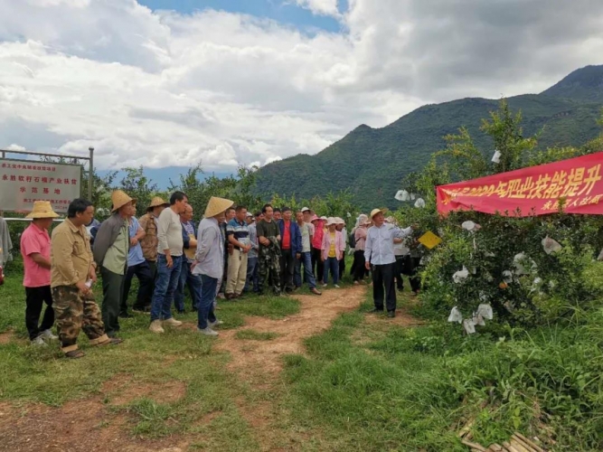 脱贫攻坚这一路，顺州镇：“志智双扶”贫困地区盛开希望之花 (1).jpg