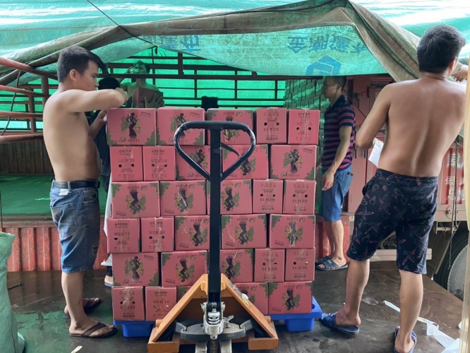 种芒果发家致富年产值40万元 网络直播一天卖出五万多件8.JPG