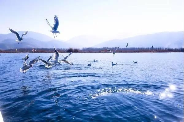 一去再去的泸沽湖，竟然还有那么多未曾感受过的美景…… (4).jpg