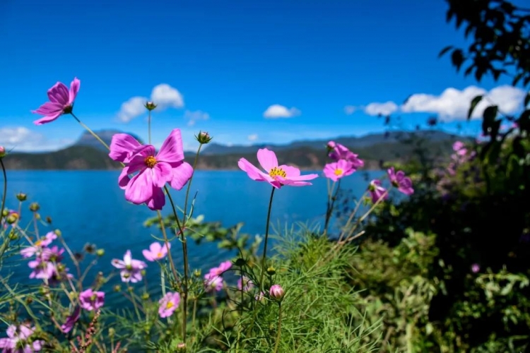 8月最重要的事，就是去泸沽湖旅行！ (1).jpg