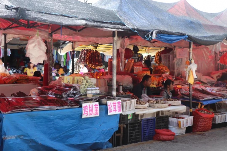 “白色污染”日益严重，而丽江使用塑料袋的情况怎么样呢？ (7).jpg