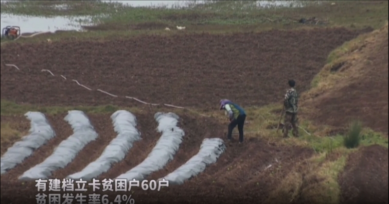 央视大型融媒体行动走进了丽江 (2).jpg