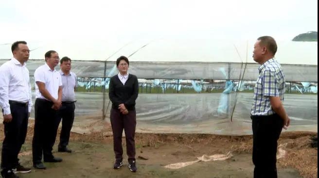 庞新秀实地了解受灾情况，鼓励村民要积极开展生产自救 (2).jpg