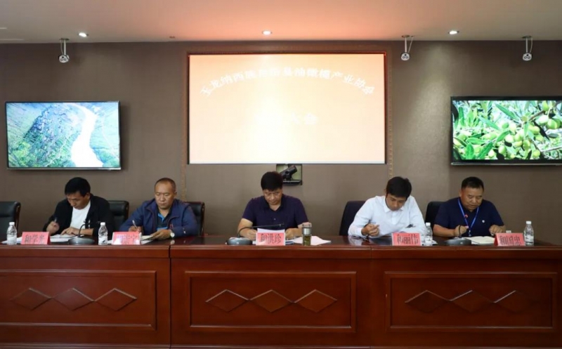 玉龙县油橄榄产业协会今天成立5.jpg