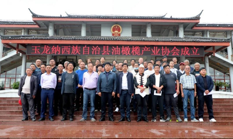 玉龙县油橄榄产业协会今天成立6.jpg